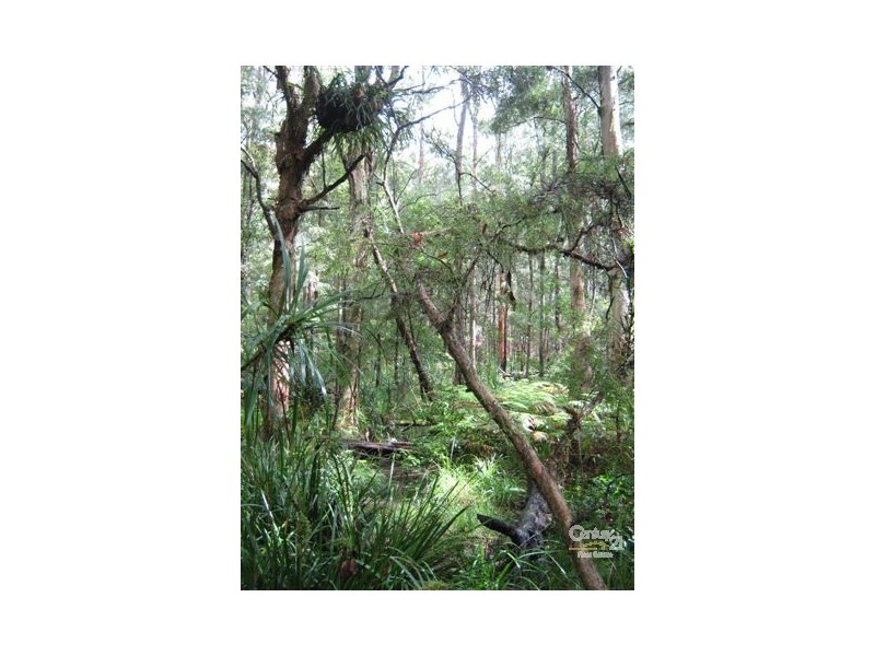 Rainbow Flat NSW 2430