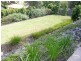 16 Belton Way, Forster NSW 2428
