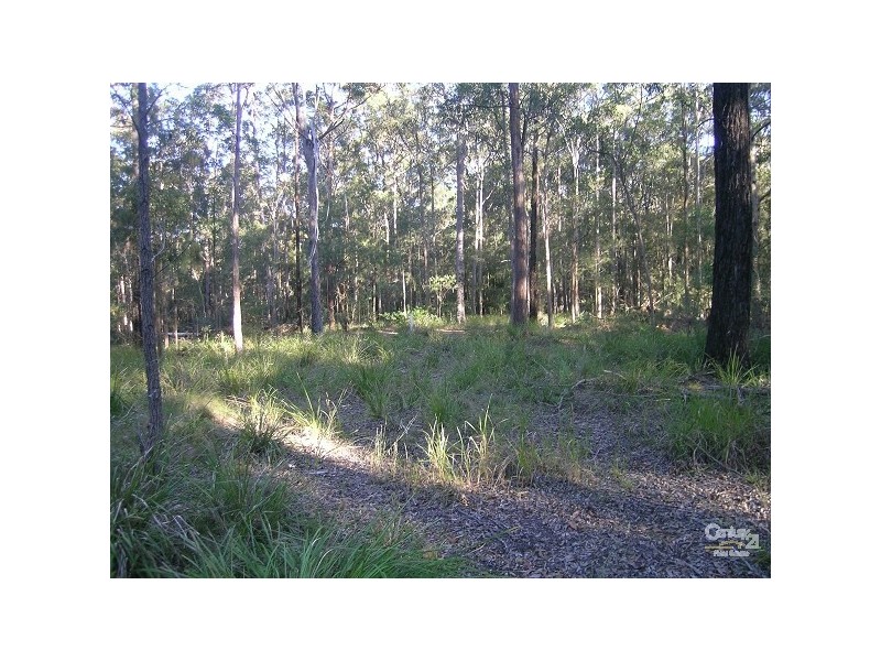408 Minimbah Road, Minimbah NSW 2312