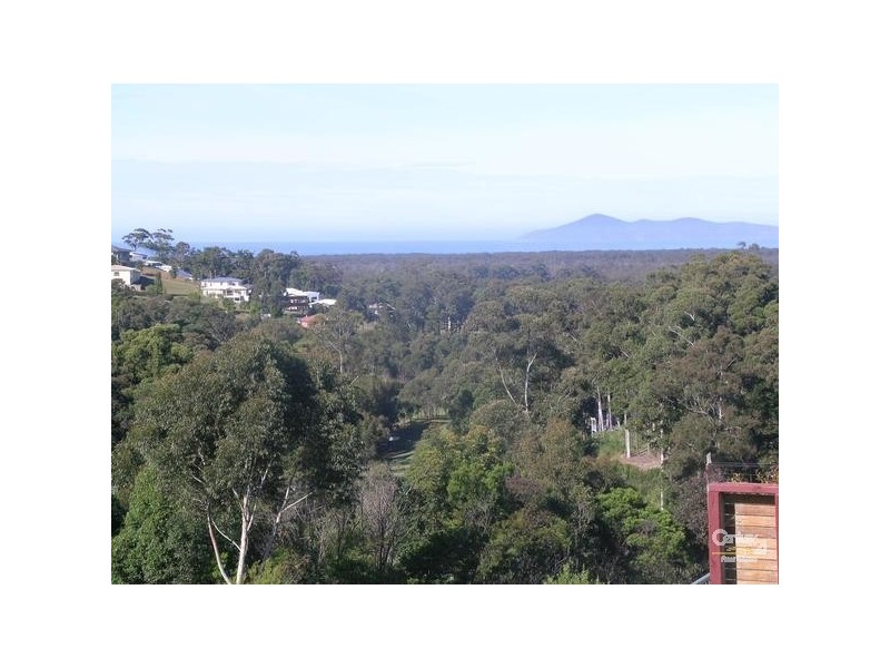 65 Hilltop Parkway, Tallwoods Village NSW 2430