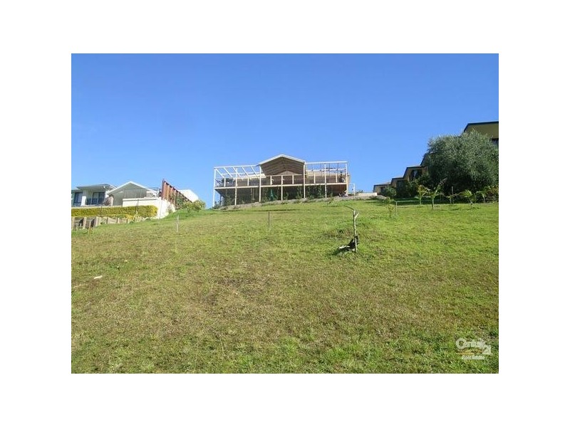 65 Hilltop Parkway, Tallwoods Village NSW 2430