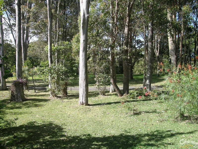 7 Zamia Place, Forster NSW 2428