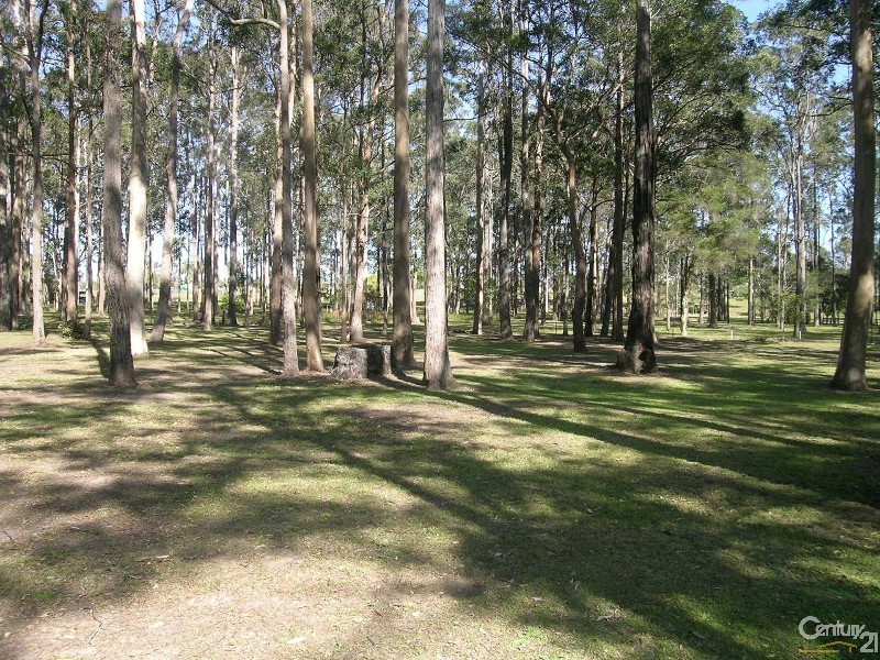 131 Blackbutt Drive, Failford NSW 2430