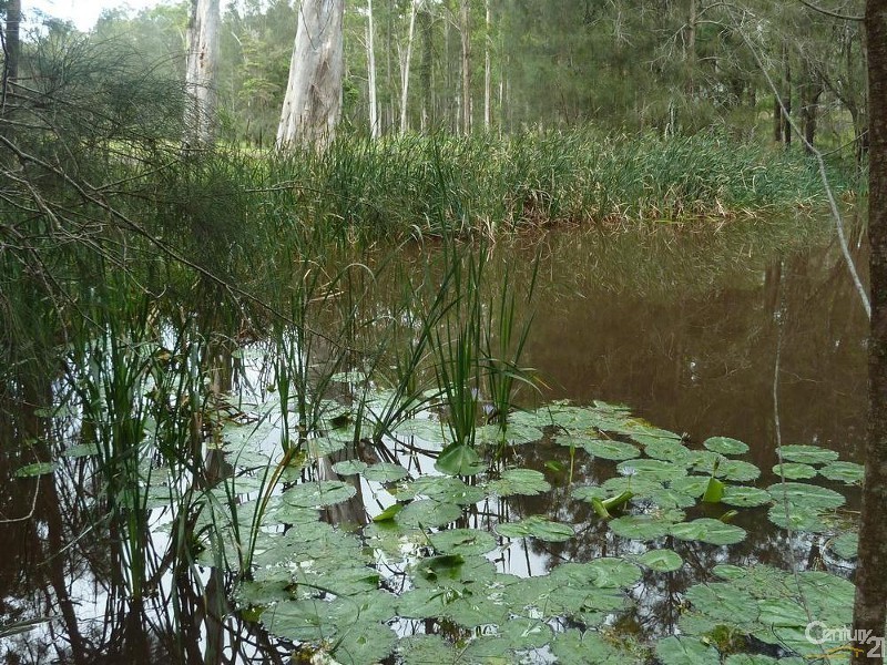 1911 The Lakes Way, Rainbow Flat NSW 2430