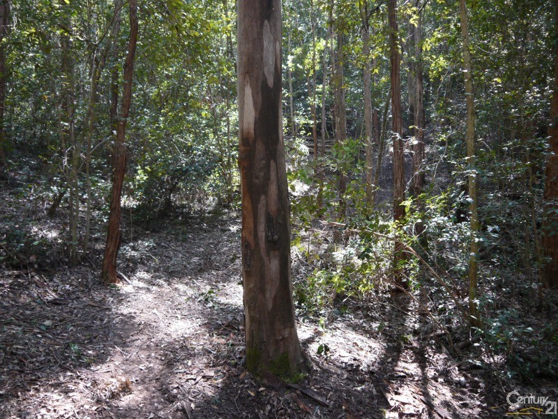 182 West Branch Road, Minimbah NSW 2312