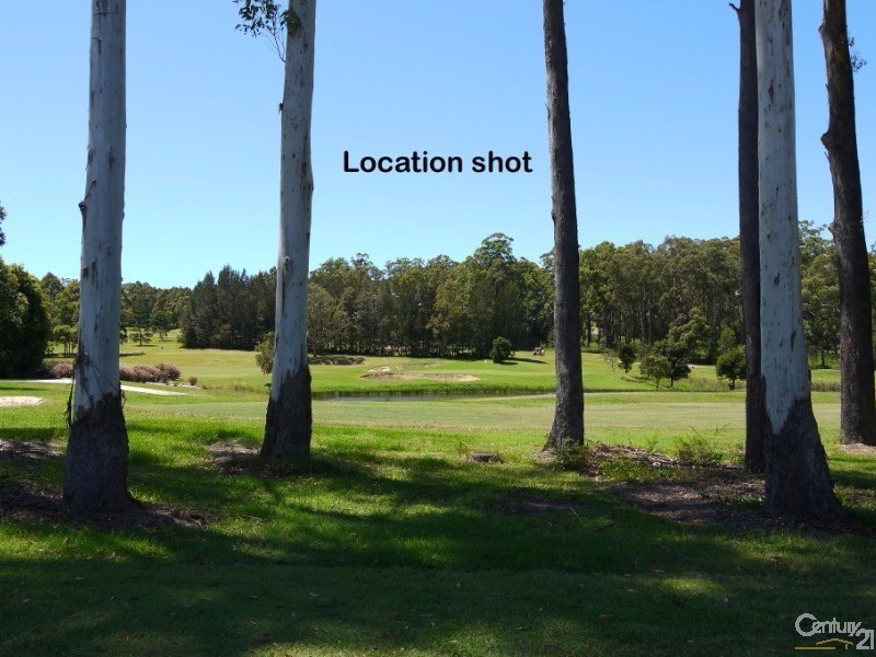 13 The Saddle, Tallwoods Village NSW 2430