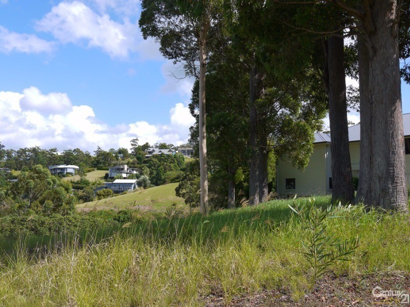 Lot 545 The Saddle, Tallwoods Village NSW 2430