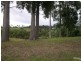 Lot 545 The Saddle, Tallwoods Village NSW 2430