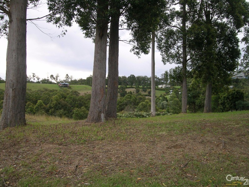 Lot 545 The Saddle, Tallwoods Village NSW 2430
