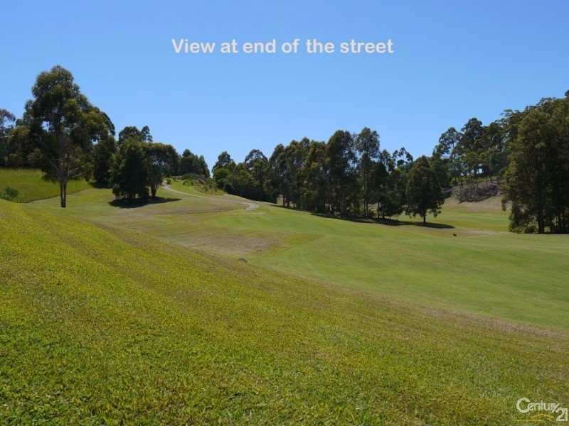Lot 545 The Saddle, Tallwoods Village NSW 2430