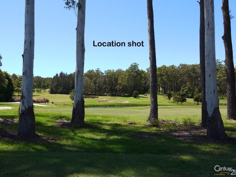 Lot 545 The Saddle, Tallwoods Village NSW 2430