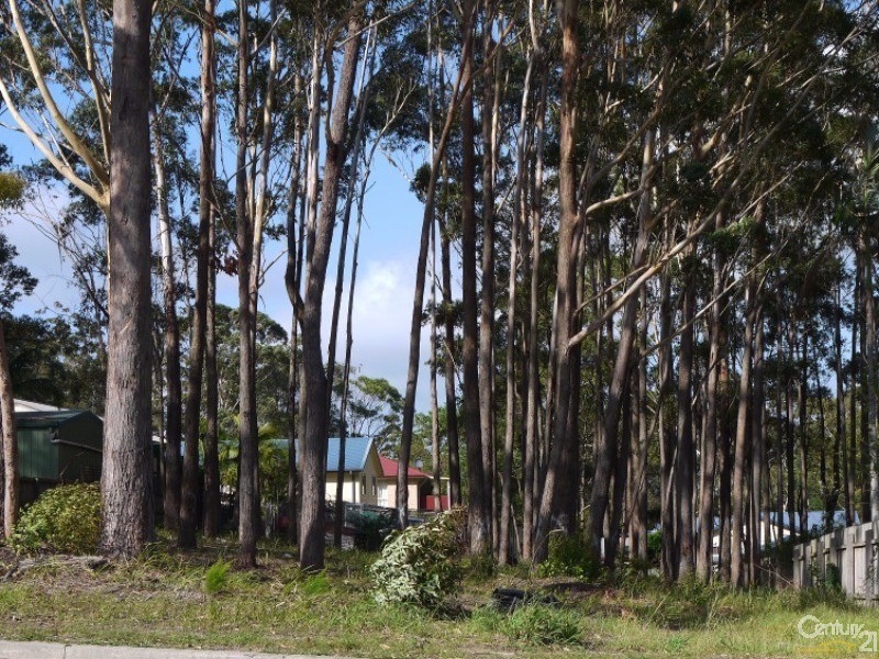 50 Macwood Road, Smiths Lake NSW 2428