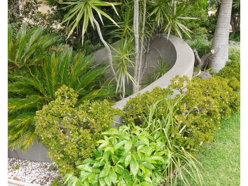 22 The Knoll, Tallwoods Village NSW 2430