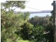 Green Point NSW 2428