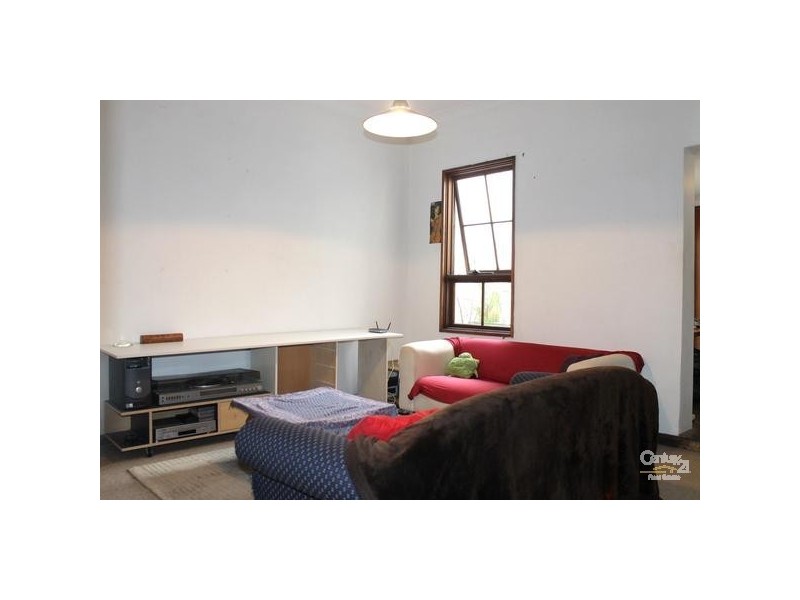 394 Riley Street, Surry Hills NSW 2010