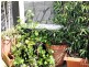2/1 Bellevue Street, Surry Hills NSW 2010