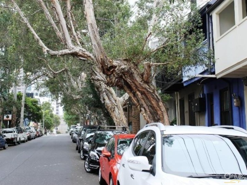 132 Commonwealth Street, Surry Hills NSW 2010