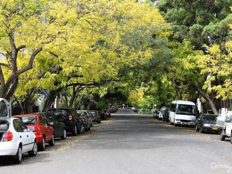 12 Telopea Street, Redfern NSW 2016