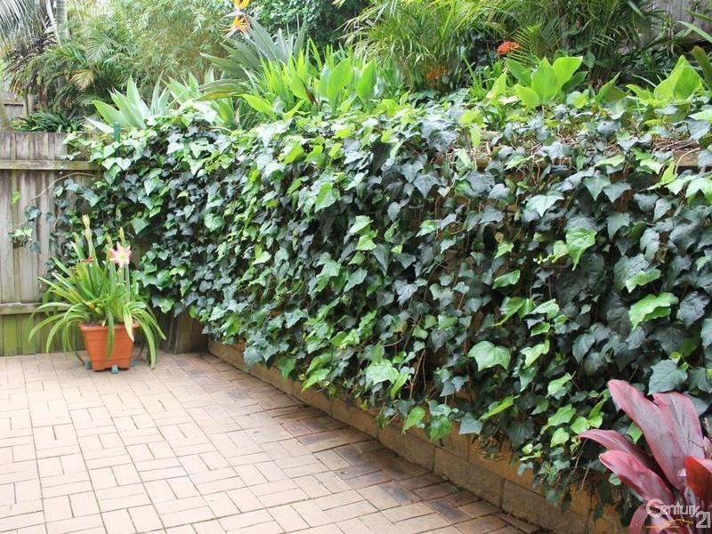 3/62B Cains Place, Waterloo NSW 2017