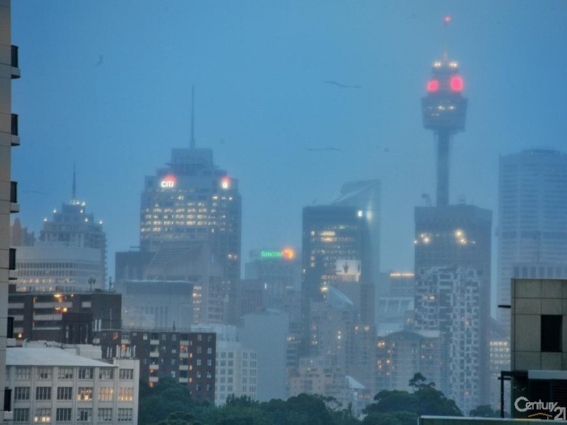 249/11 Potter Street, Waterloo NSW 2017