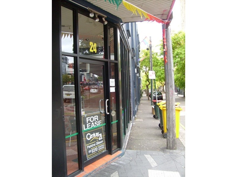 24 FLINDERS ST, Surry Hills NSW 2010
