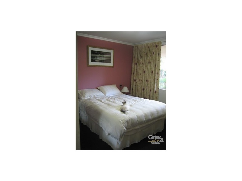 43/3 Olivia Lane, Surry Hills NSW 2010