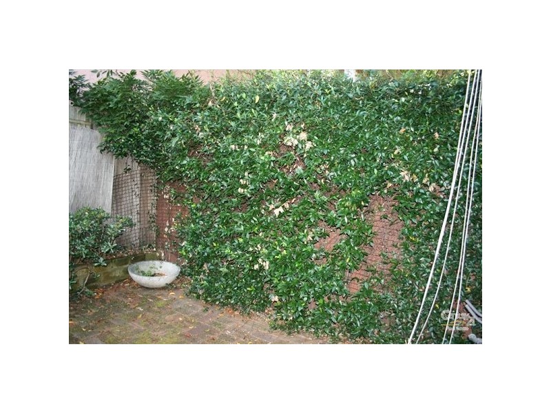 112 Reservoir Street, Surry Hills NSW 2010