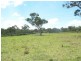 Wyee NSW 2259