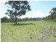 Wyee NSW 2259