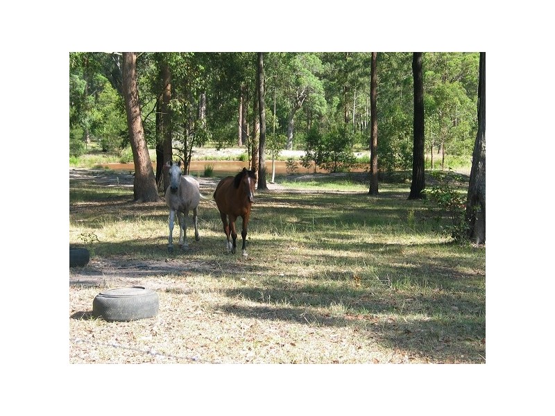 Wyee NSW 2259
