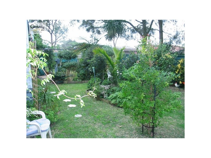 Buff Point NSW 2262