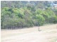 Wyee NSW 2259