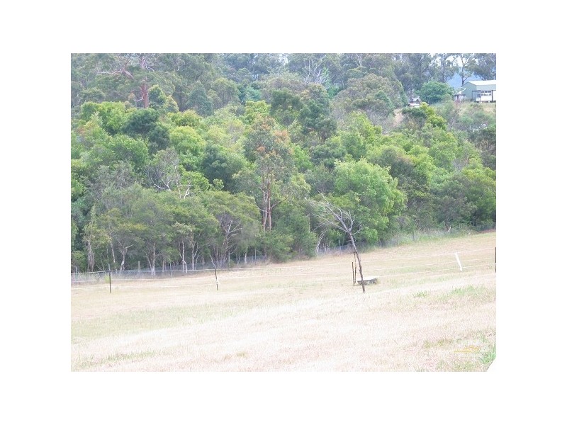 Wyee NSW 2259