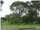 23 Jabbarup Road, Wyee NSW 2259