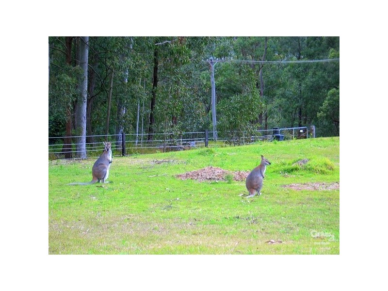 132 Sauls Road, Mandalong NSW 2264