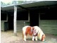 132 Sauls Road, Mandalong NSW 2264