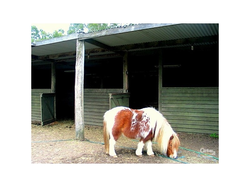 132 Sauls Road, Mandalong NSW 2264