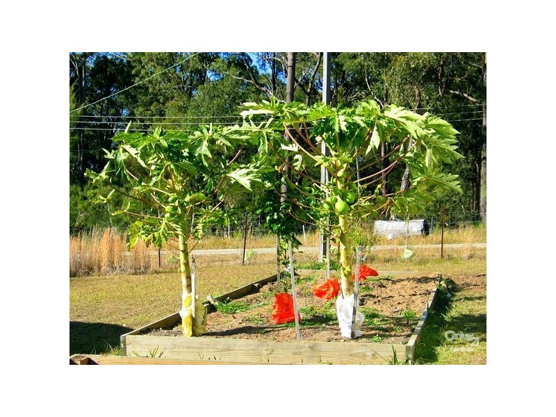 135 Wyee Farms Road, Wyee NSW 2259