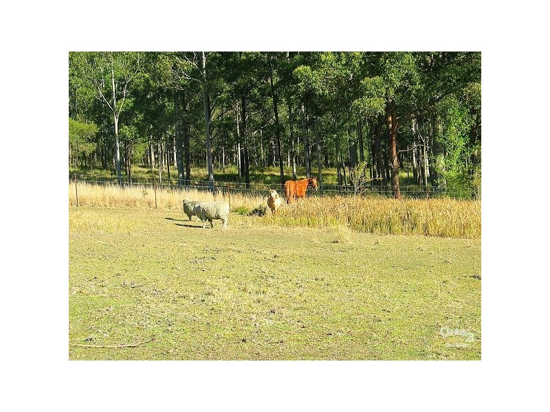 135 Wyee Farms Road, Wyee NSW 2259