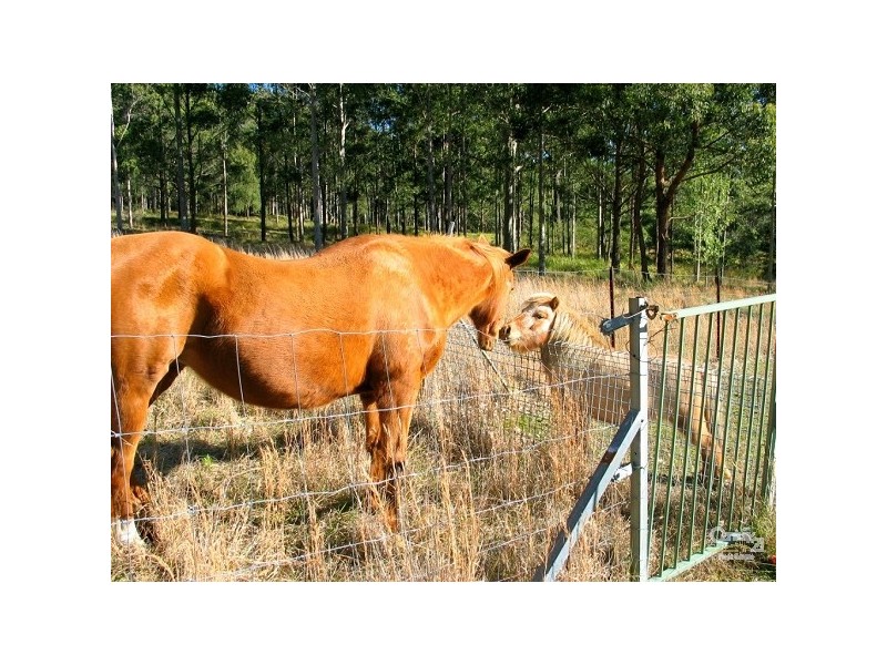 135 Wyee Farms Road, Wyee NSW 2259