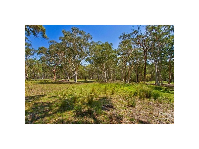 3 Saddlers Way, Wyee Point NSW 2259