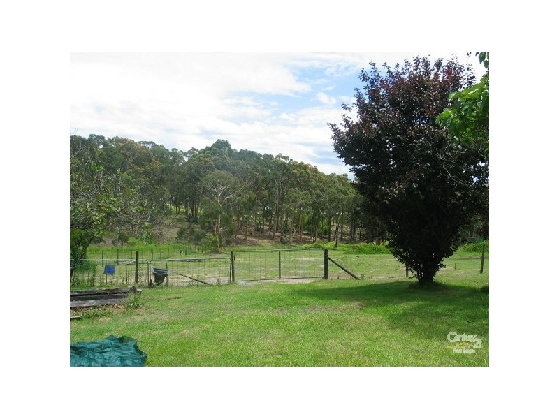 41A Ruttleys Road, Wyee Point NSW 2259