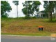 8 Halwin Close, Wyee Point NSW 2259