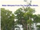 8 Halwin Close, Wyee Point NSW 2259