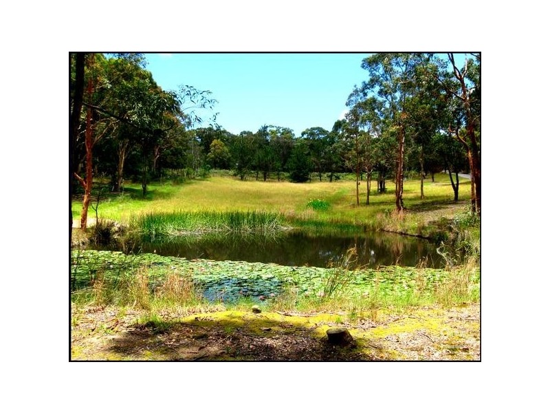 39 Ruttleys Road, Wyee NSW 2259