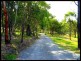 39 Ruttleys Road, Wyee NSW 2259