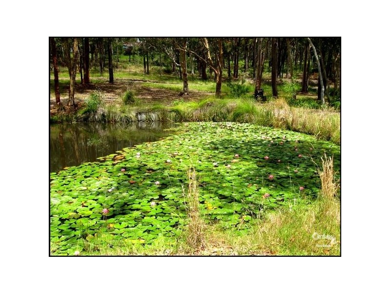 39 Ruttleys Road, Wyee NSW 2259