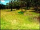 39 Ruttleys Road, Wyee NSW 2259