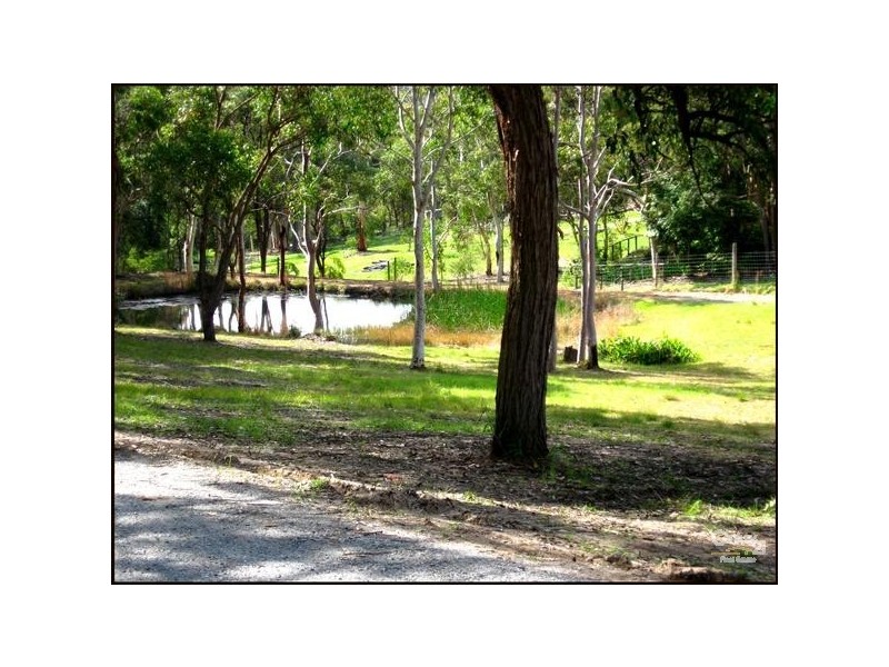 39 Ruttleys Road, Wyee NSW 2259