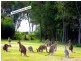 14B Wymeera Circuit, Wyee Point NSW 2259